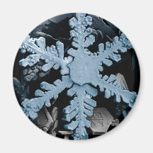 Snow Crystal 2 Magnets