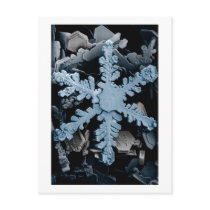 Snow Crystal 2 Postcard