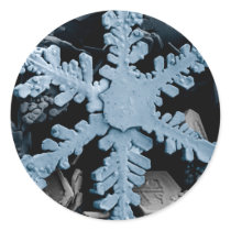 Snow Crystal 2 Sticker