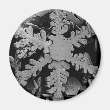 Snow Crystal Refrigerator Magnet