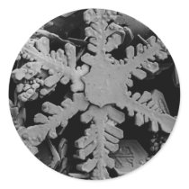 Snow Crystal stickers by SnowCrystal Snow Crystal stickers