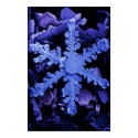 Snow Crystals posters
