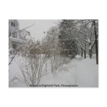 Snow Day Postcards