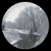Snow plates