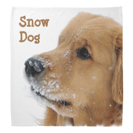 golden retriever puppy bandana snow golden retriever bandana zazzle golden retriever puppy bandana snow golden retriever bandana zazzle