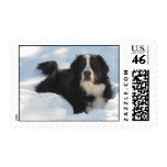 Snow Dog postage
