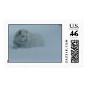 Snow Dog postage by AlisaMokler Snow Dog postage