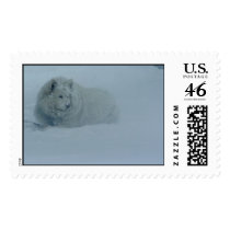 Snow Dog postage