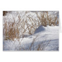 Snow Drift/Weeds Card