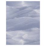 snow_dunes flyers