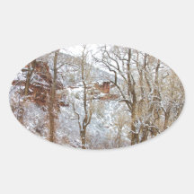 Snow Dusted Colorado Scenic Drive Stickers