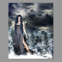 Snow Fairy by  Holly Siek posters