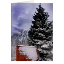 snow falling on cedars greeting card