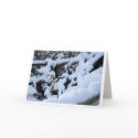 Snow Fence 2 cards by Snowhawk Snow Fence 2 cards