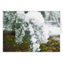 snow fir cards by Emerald_Fyre snow fir cards