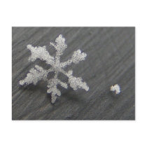 Snow Flake 44 ~ postcard