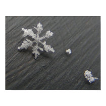 Snow Flake 44 ~ print by Andy2302 Snow Flake 44 ~ print
