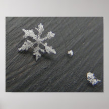 Snow Flake 44 ~ print