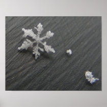 Snow Flake 44 ~ print