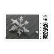 Snow Flake 44 ~ stamp