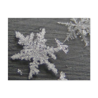 Snow Flake 45 ~ postcard by Andy2302