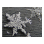 Snow Flake 45 ~ postcard