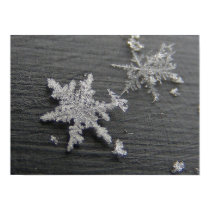 Snow Flake 45 ~ print by Andy2302 Snow Flake 45 ~ print