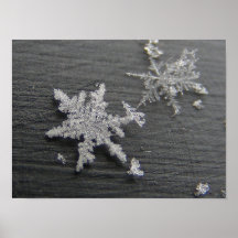 Snow Flake 45 ~ print