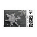 Snow Flake 45 ~ stamp stamp