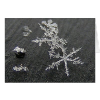 Snow Flake 49 ~ card by Andy2302