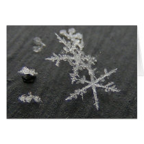 Snow Flake 49 ~ card