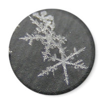 Snow Flake 49 ~ magnet