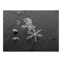 Snow Flake 49 ~ print by Andy2302 Snow Flake 49 ~ print