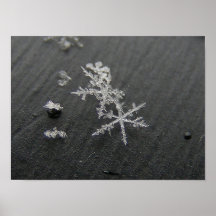 Snow Flake 49 ~ print
