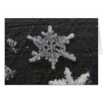 Snow Flake 56 ~ card