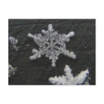 Snow Flake 56 ~ postcard