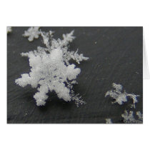 Snow Flake 73 ~ card