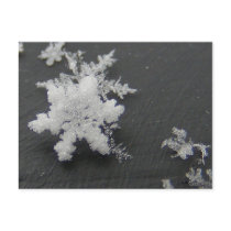 Snow Flake 73 ~ postcard