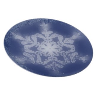 Snow Flake 8 Plate plate
