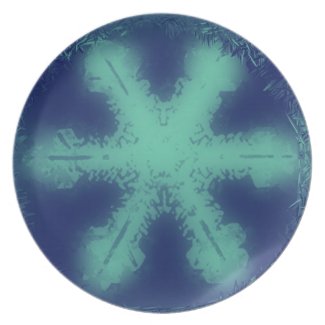 Snow Flake 9 Plate plate