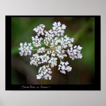 Snow flake flower print