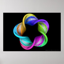 Snow Flake II Print