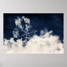 Snow Flake Print