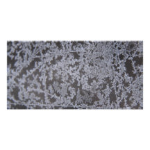 snow flakes on Glass 1 Photo Cards