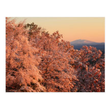 Snow Foliage and Mount Monadnock Post Card