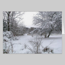 Snow For Christmas cards