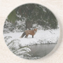 Snow Fox coasters