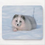 Snow Fox Mousepads
