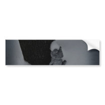 Snow Frog Bumper Stickers