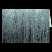 Snow Frosted Forest Greeting Card cards